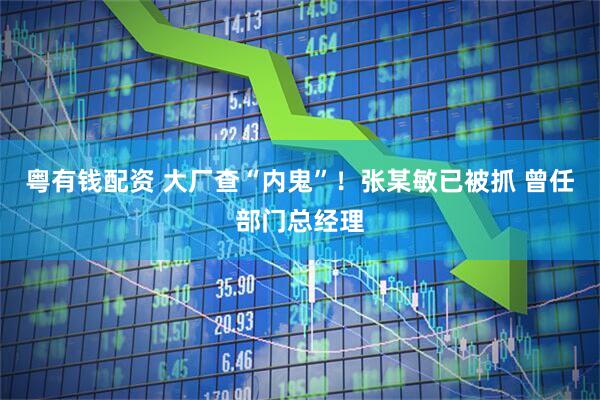 粤有钱配资 大厂查“内鬼”！张某敏已被抓 曾任部门总经理