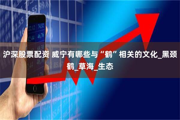 沪深股票配资 威宁有哪些与“鹤”相关的文化_黑颈鹤_草海_生态